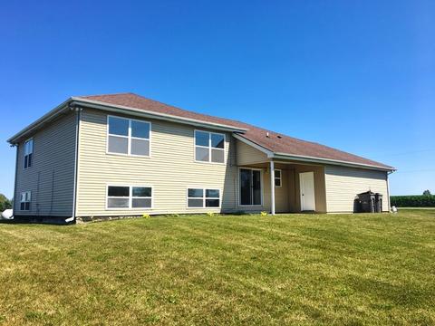 9502 W Pauling Rd, Monee, IL 60449 photo 19