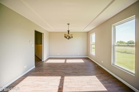 9502 W Pauling Rd, Monee, IL 60449 photo 4