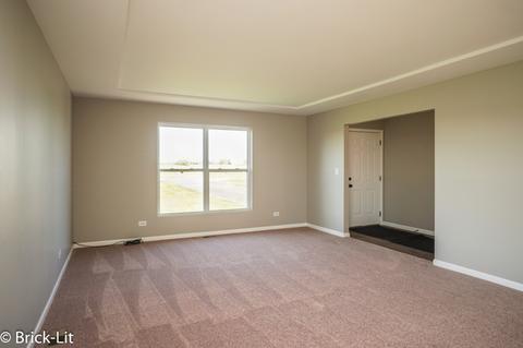 9502 W Pauling Rd, Monee, IL 60449 photo 3