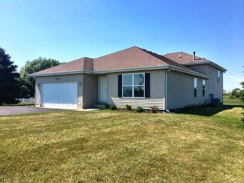 9502 W Pauling Rd, Monee, IL 60449 photo 1