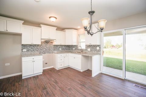 9502 W Pauling Rd, Monee, IL 60449 photo 6