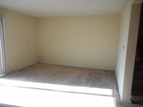 1825 Bristol Walk, Hoffman Estates, IL 60169 photo 8