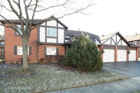 229 Brookside Ln #B, Willowbrook, IL 60527 photo 1