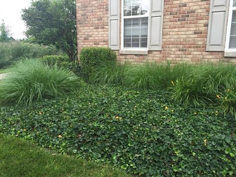 263 Springbrook Trl S, Oswego, IL 60543 photo 2
