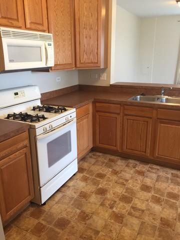263 Springbrook Trl S, Oswego, IL 60543 photo 3