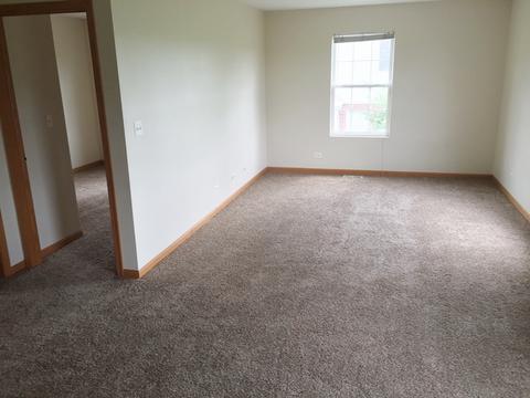 263 Springbrook Trl S, Oswego, IL 60543 photo 4
