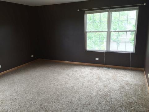 263 Springbrook Trl S, Oswego, IL 60543 photo 10