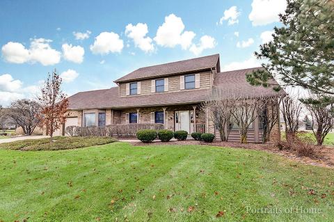 13053 Paul Cir, Plainfield, IL 60585 photo 1