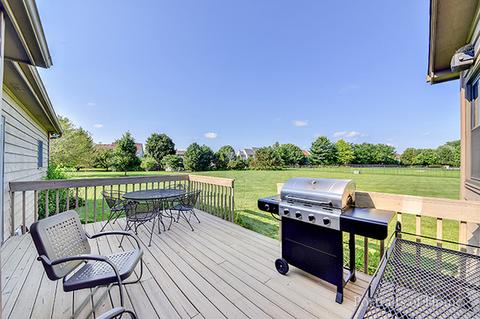 13053 Paul Cir, Plainfield, IL 60585 photo 9