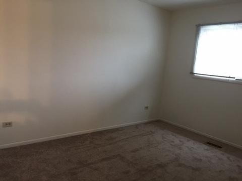 372 Vita Dr, Wheeling, IL 60090 photo 12