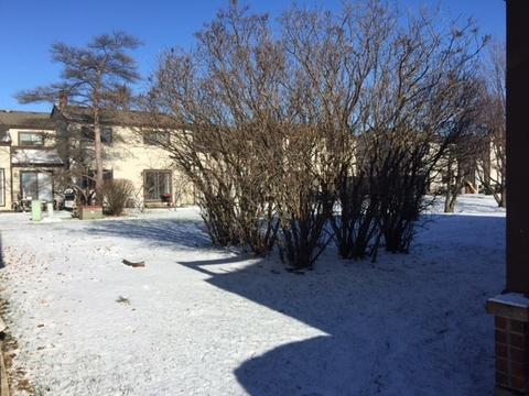 372 Vita Dr, Wheeling, IL 60090 photo 21