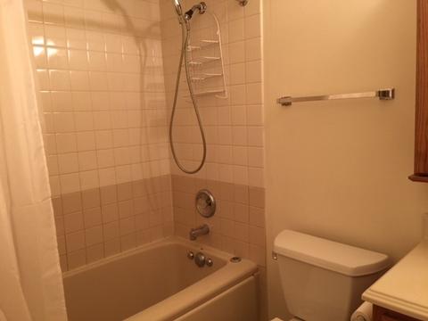 372 Vita Dr, Wheeling, IL 60090 photo 14