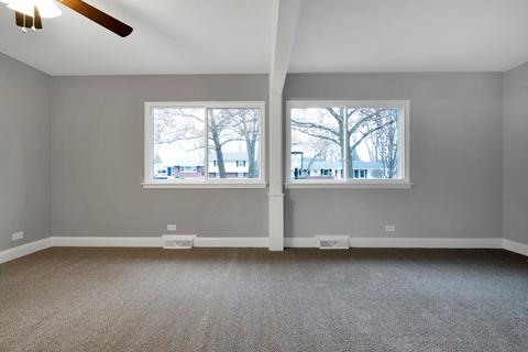 910 Hickory Ln, Naperville, IL 60540 photo 38