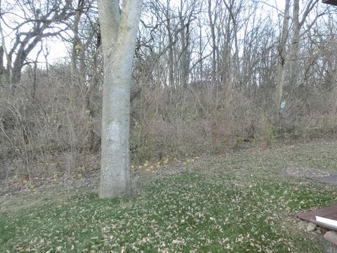 1072 Myra Ct, Morris, IL 60450 photo 19
