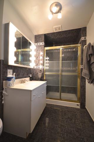 978 Oceanside Ter, Bartlett, IL 60103 photo 10
