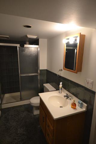 978 Oceanside Ter, Bartlett, IL 60103 photo 19