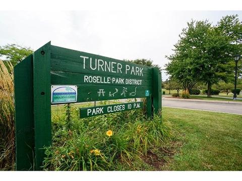 735 E Devon Ave, Roselle, IL 60172 photo 30
