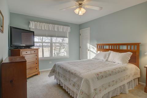 15352 Dan Patch Dr, Plainfield, IL 60544 photo 19