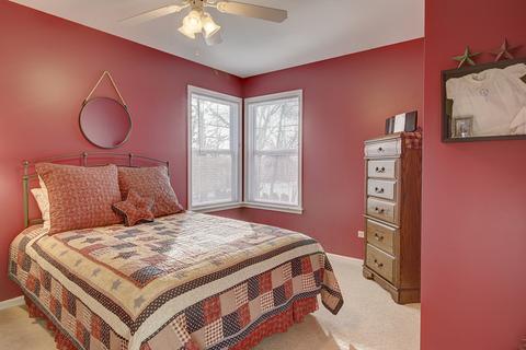 15352 Dan Patch Dr, Plainfield, IL 60544 photo 20