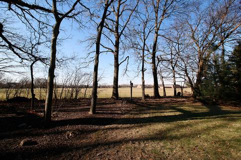 15352 Dan Patch Dr, Plainfield, IL 60544 photo 29