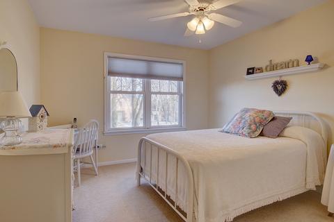 15352 Dan Patch Dr, Plainfield, IL 60544 photo 21