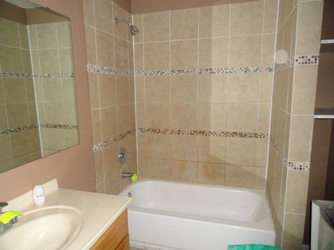 15802 Whipple Ave, Markham, IL 60428 photo 10