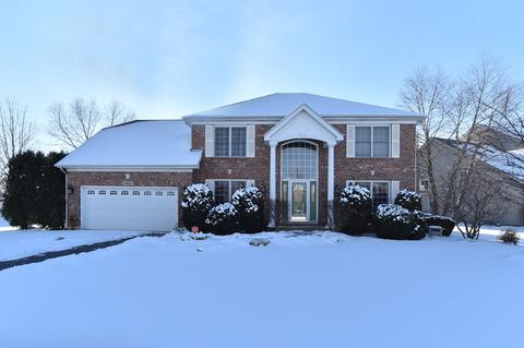 13637 Eagles Perch Ct, Plainfield, IL 60544 photo 1
