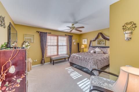 13637 Eagles Perch Ct, Plainfield, IL 60544 photo 21
