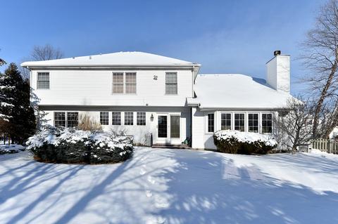 13637 Eagles Perch Ct, Plainfield, IL 60544 photo 28