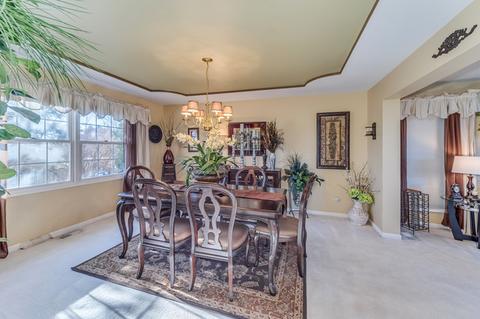 13637 Eagles Perch Ct, Plainfield, IL 60544 photo 8