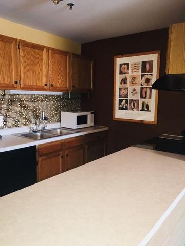 3265 Kirchoff Rd #322, Rolling Meadows, IL 60008 photo 14