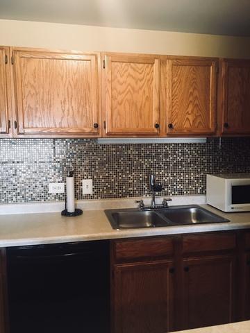 3265 Kirchoff Rd #322, Rolling Meadows, IL 60008 photo 12