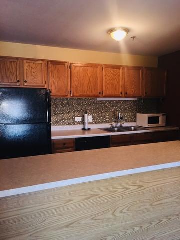 3265 Kirchoff Rd #322, Rolling Meadows, IL 60008 photo 17