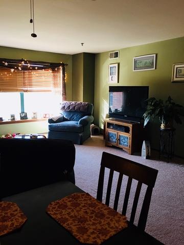3265 Kirchoff Rd #322, Rolling Meadows, IL 60008 photo 4