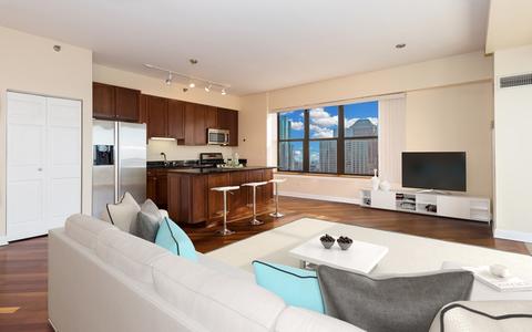 41 E 8th St #3304, Chicago, IL 60605 photo 7
