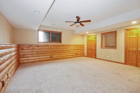 11610 Abbey Rd, Mokena, IL 60448 photo 21