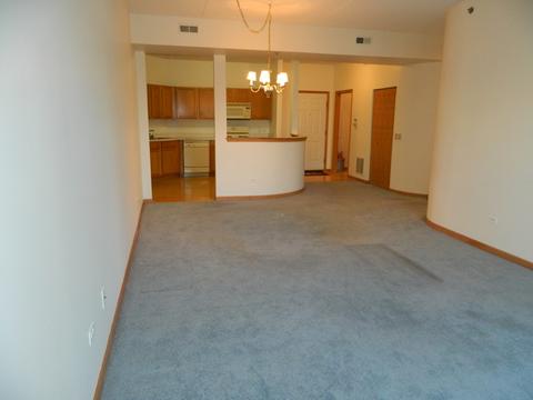 3125 Town Square Dr #108, Rolling Meadows, IL 60008 photo 3