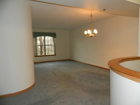 3125 Town Square Dr #108, Rolling Meadows, IL 60008 photo 2