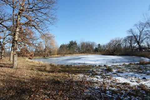 33 Gromer Rd, Elgin, IL 60120 photo 8