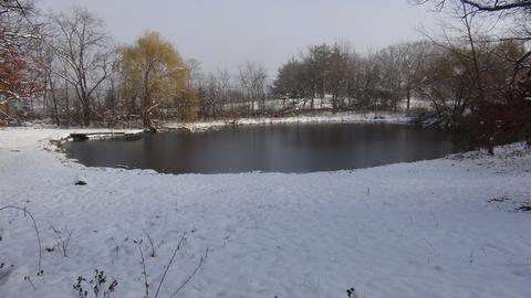 33 Gromer Rd, Elgin, IL 60120 photo 2