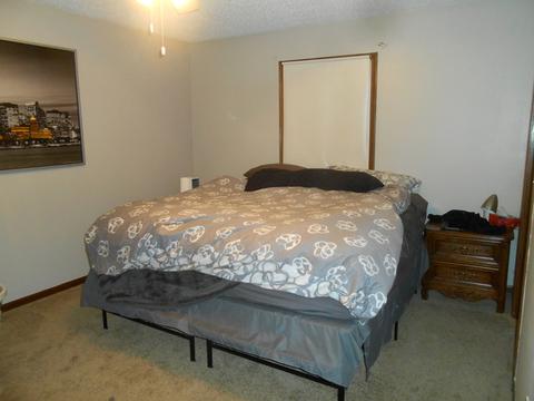 137 Deerpath Dr, Morris, IL 60450 photo 9