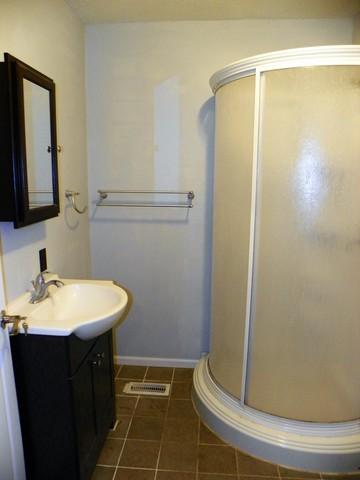 12276 E 950 North Rd, Chenoa, IL 61726 photo 7