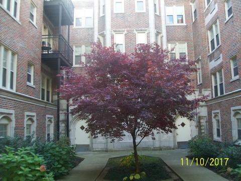 2319 E 70th Pl #010, Chicago, IL 60649 photo 1