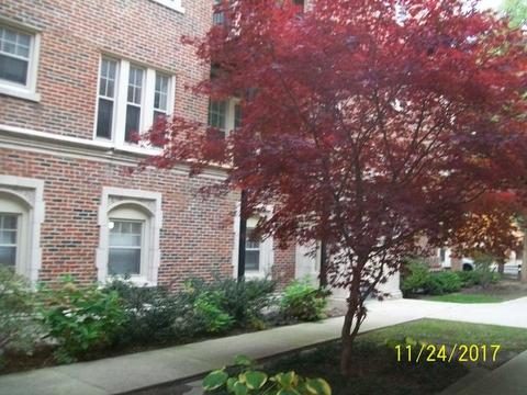 2319 E 70th Pl #010, Chicago, IL 60649 photo 3