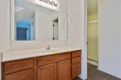 3794 Trillium Trl, Elgin, IL 60124 photo 22