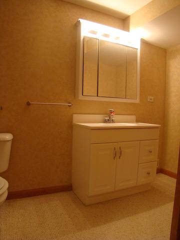 2072 Tunbridge Trl, Algonquin, IL 60102 photo 38