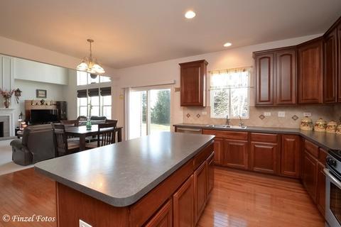 420 Tuscany Dr, Algonquin, IL 60102 photo 4