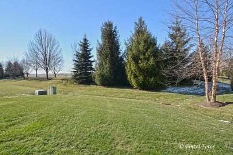 420 Tuscany Dr, Algonquin, IL 60102 photo 25