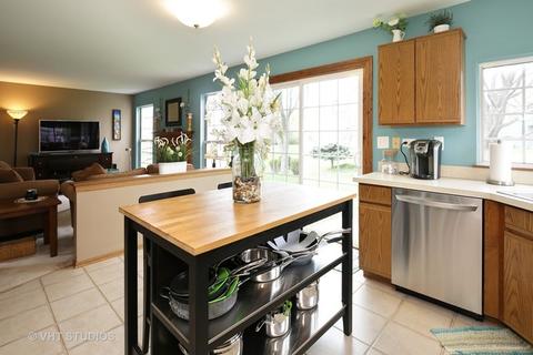 2040 Aronomink Cir, Elgin, IL 60123 photo 6