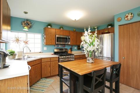 2040 Aronomink Cir, Elgin, IL 60123 photo 5